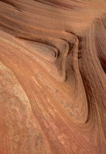 Vortex at Ginger Rock